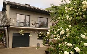 Guesthouse U Dida Viktora